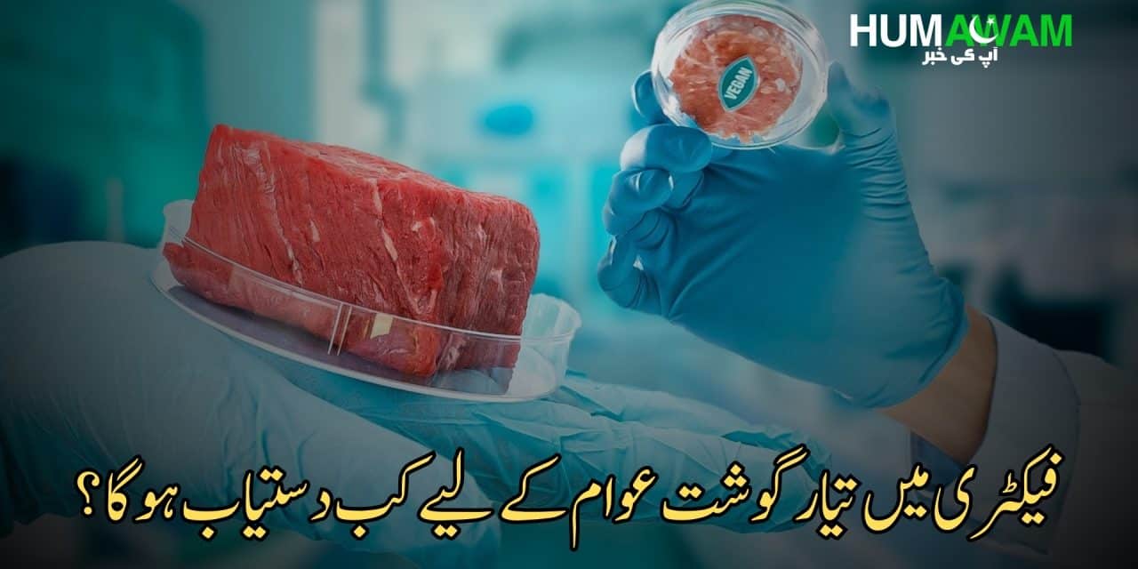 فیکٹری میں تیار گوشت عوام کے لیے کب دستیاب ہوگا؟‎
