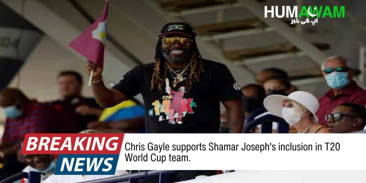 Chris Gayle advocates for inclusion of Shamar Joseph in T20 World Cup