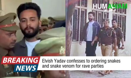 YouTuber Elvish Yadav confesses to arranging snake venom rave parties