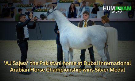 Pakistani Horse ‘AJ Sajwa’ Gallops Towards Success Winning Silver at Dubai International Arabian Horse Championship
