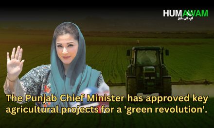 Punjab CM Approves Key Agri Projects To Bring About ‘Green Revolution’