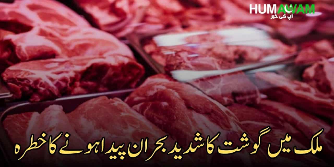 ملک میں گوشت کا شدید بحران پیدا ہونے کا خطرہ