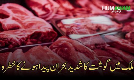 ملک میں گوشت کا شدید بحران پیدا ہونے کا خطرہ